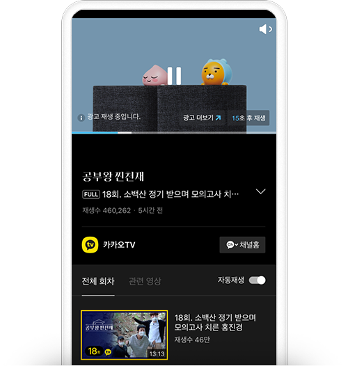 카카오 동영상 광고